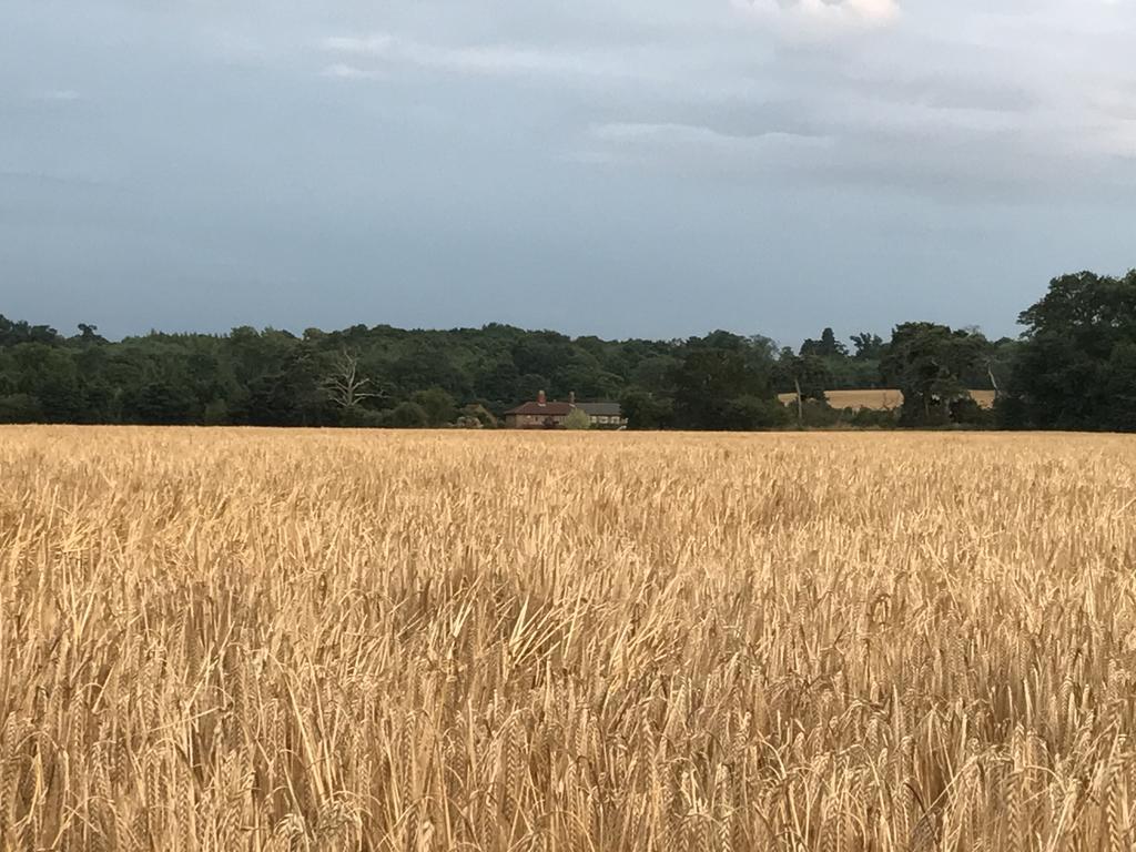 Thonock Lane Lodge Gainsborough Zewnętrze zdjęcie